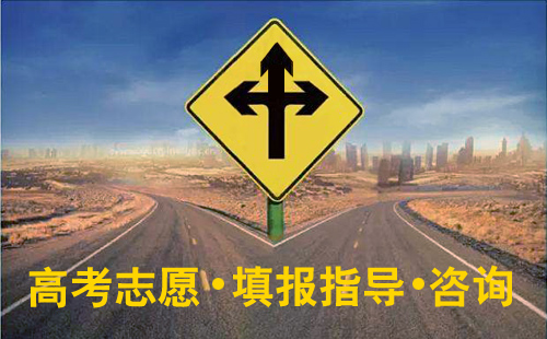 高考志愿简介图